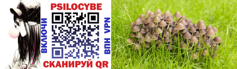 darknet Telegram  купить   Гулькевичи  Псилоцибиновые грибы мухоморы 